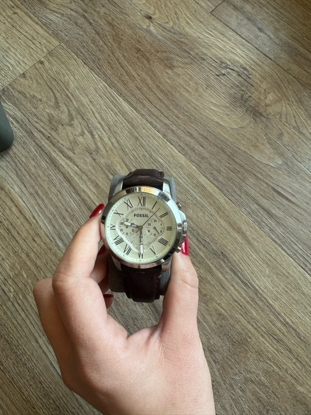 Fossil Silver Dial Dark Brown Leather Strap Watch